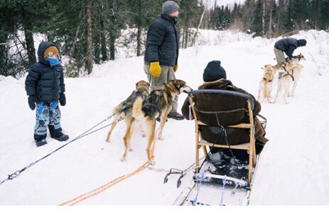 dog sledding.jpg